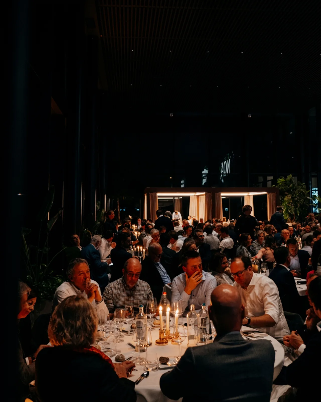 De Waregemse Toppers 2025 6