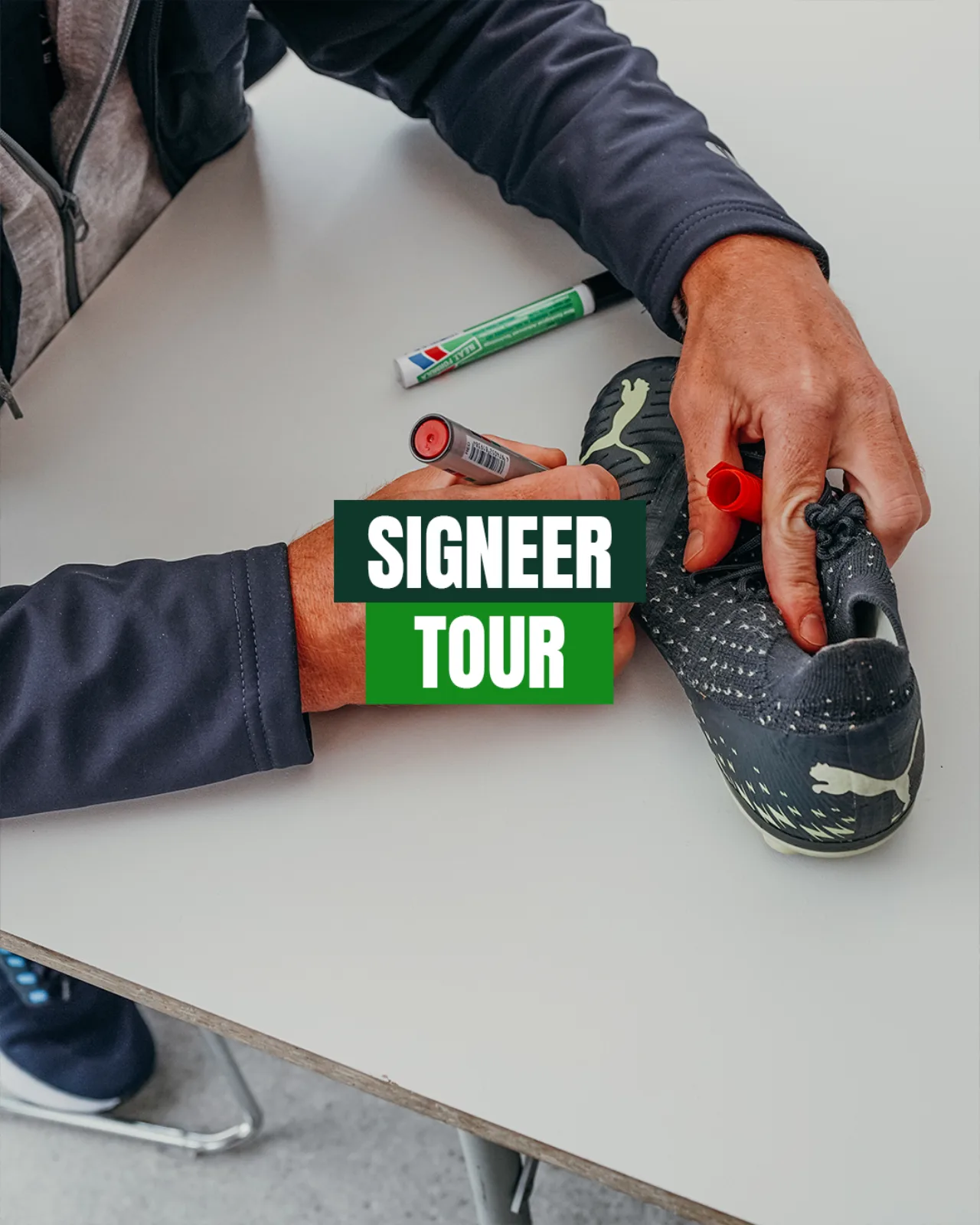 SIGNEER